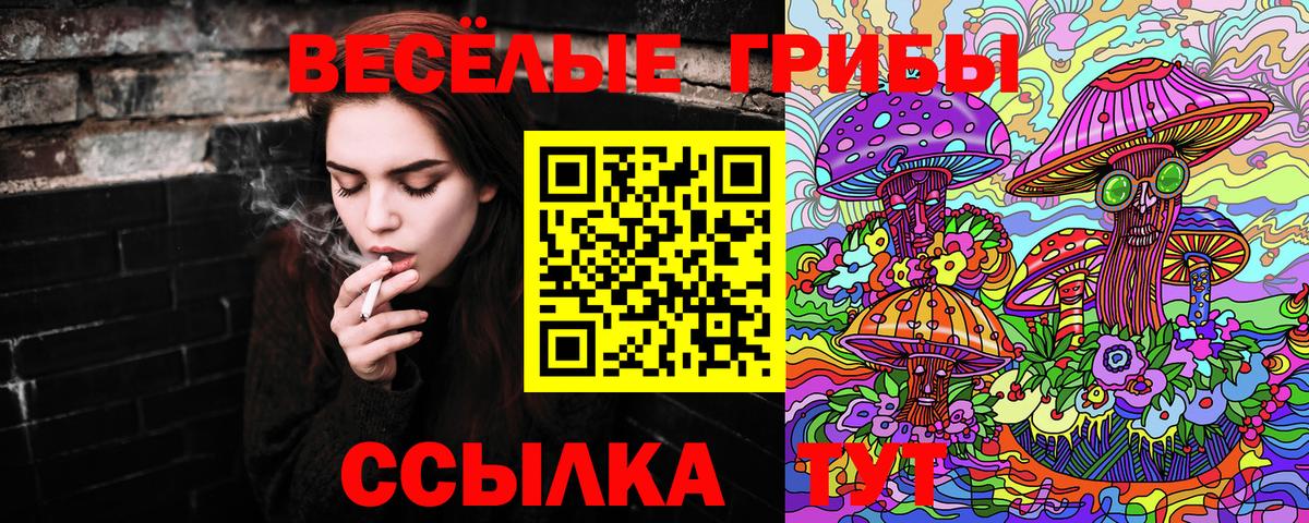 Санкт-Петербург  Псилоцибиновые грибы ЛСД  Вход с VPN 